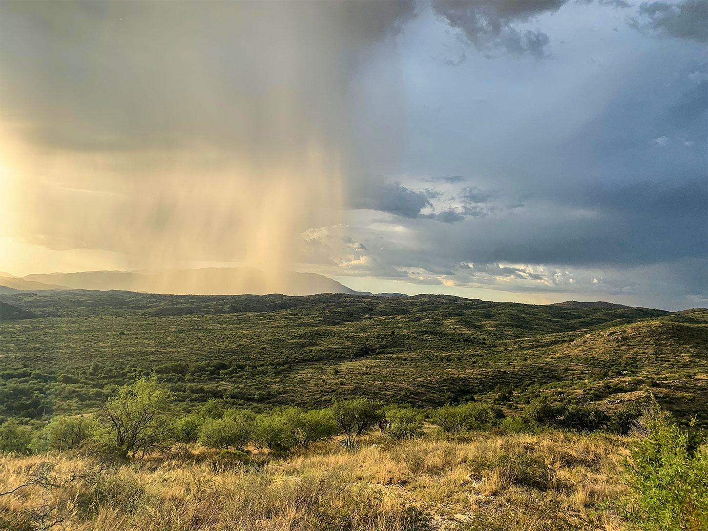 Thunderstorm in Chihuahuan Desert