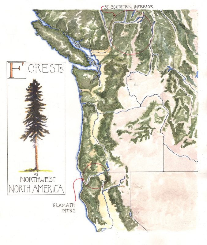 Map of the forests of northwestern North America, by Lyn Baldwin
