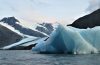 Iceberg