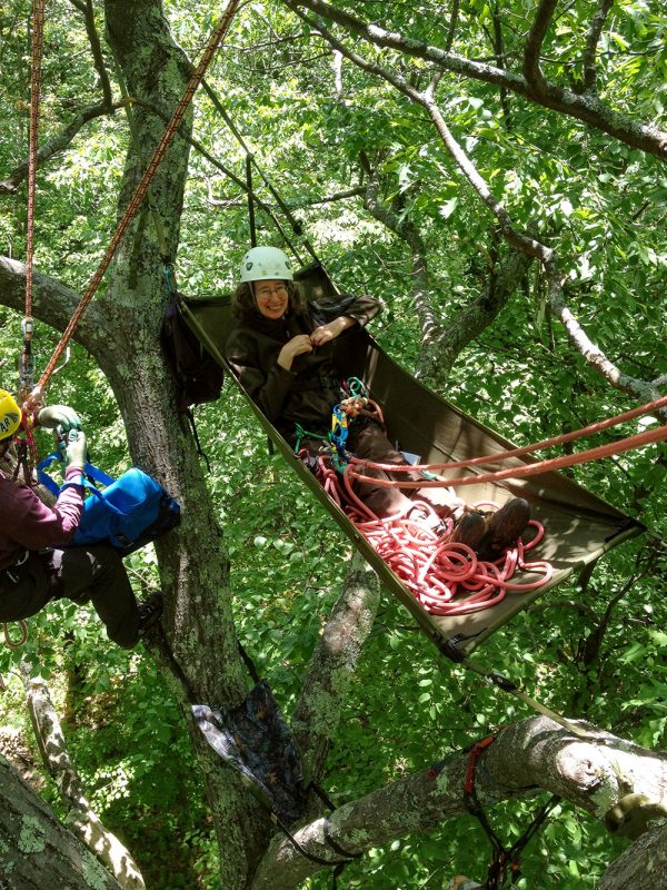 Lynda Mapes in 100-year-old oak