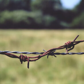 Barbed wire fence next to field and trees