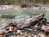 Debris along the North Fork