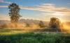 Morning sunlight and fog on river