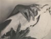 Photograph of Georgia O'Keeffe's Hands and Horse Skull, 1931.