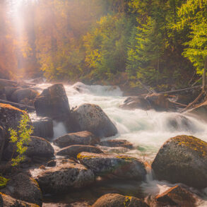Creek and boulders in soft afternoon light