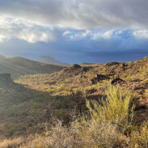 Monsoon in the Desert Southwest