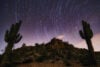 Sonoran desert at night with star tracks
