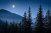 Moon, mountains and forest at night