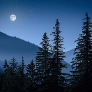 Moon, mountains and forest at night