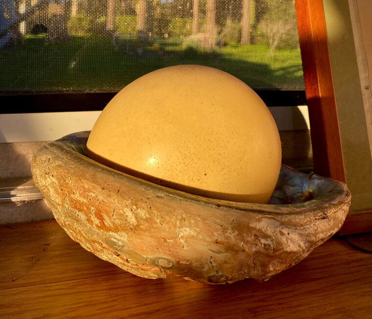Ostrich egg