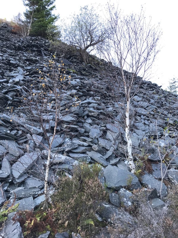 A hillslide of waste slate
