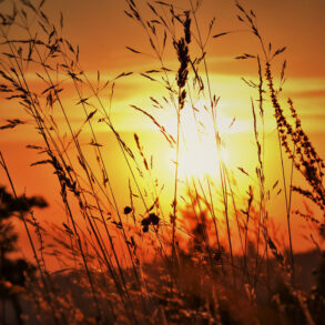 Oregon sunset
