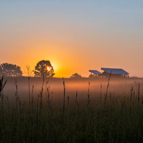 Summer sunrise at Nachusa Grasslands