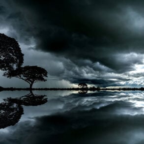 Large trees along river with dark clouds
