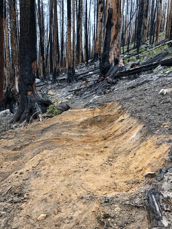 Trail crew tread work