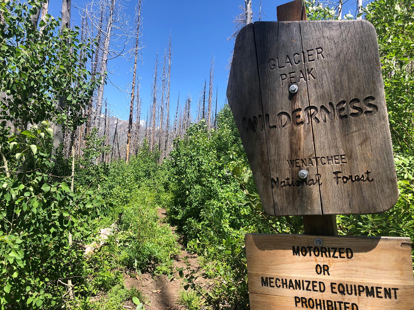 Glacier Peak Wilderness sign