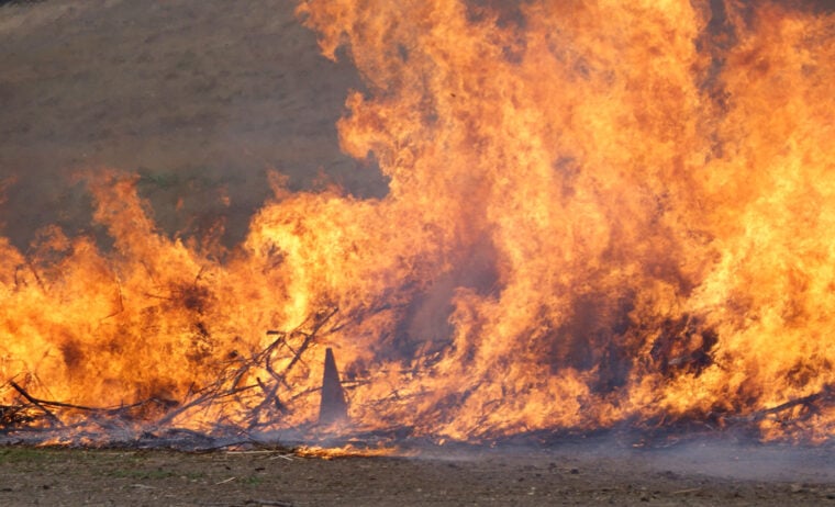 Fire with cone