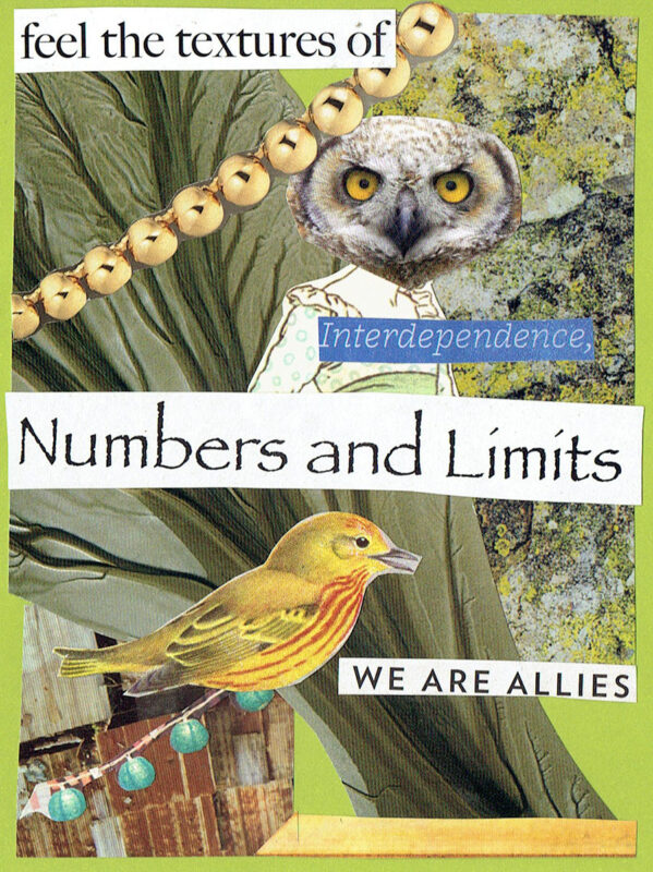 Feel the textures of interdependence, numbers and limits; we are allies. Collage art by Jennifer Case.