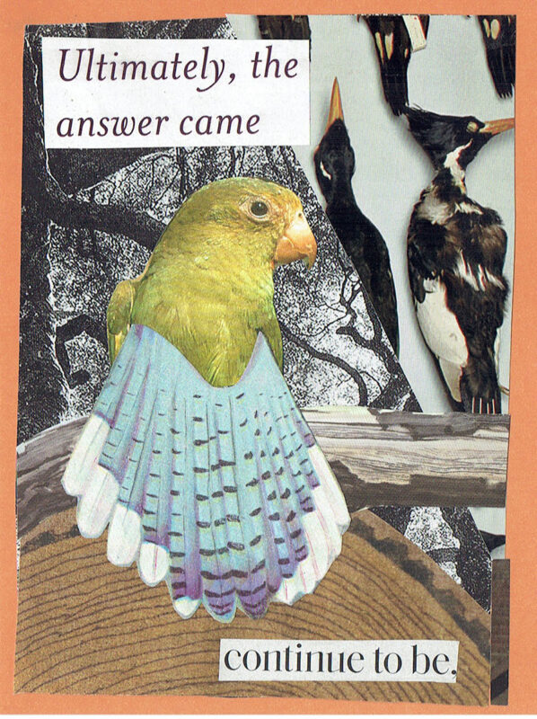 Ultimately, the answer came: continue to be. Collage art by Jennifer Case.