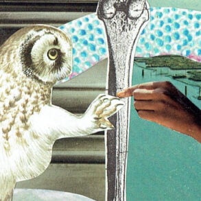 Postcard collage: owl an dhuman touching over bone