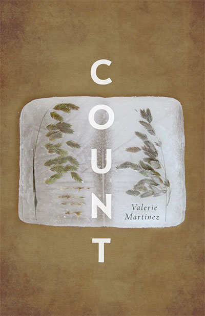 Count, poetry by Valerie Martínez