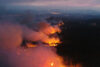 Aerial view of wildfire