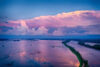 Flooded farmland with storm clouds at dusk