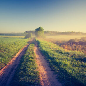 Road on farm