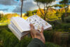 Hand holding bird field guide