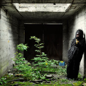 Man in gorilla suit