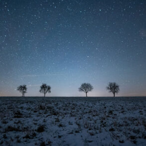 Snowy field with line of trees and starry sky