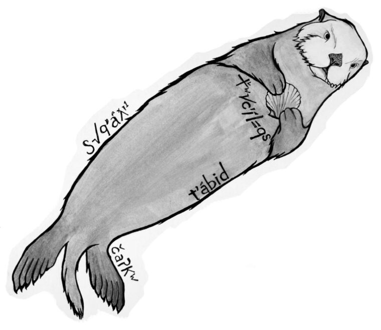 Illustration: Sea Otter, by Raya Friday