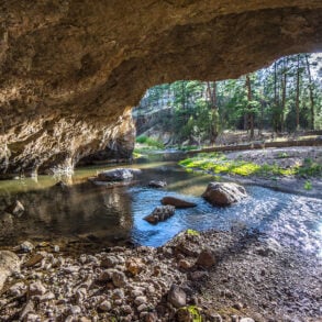 Cave and stream in Gila Wilderness