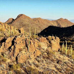 Sonoran Desert