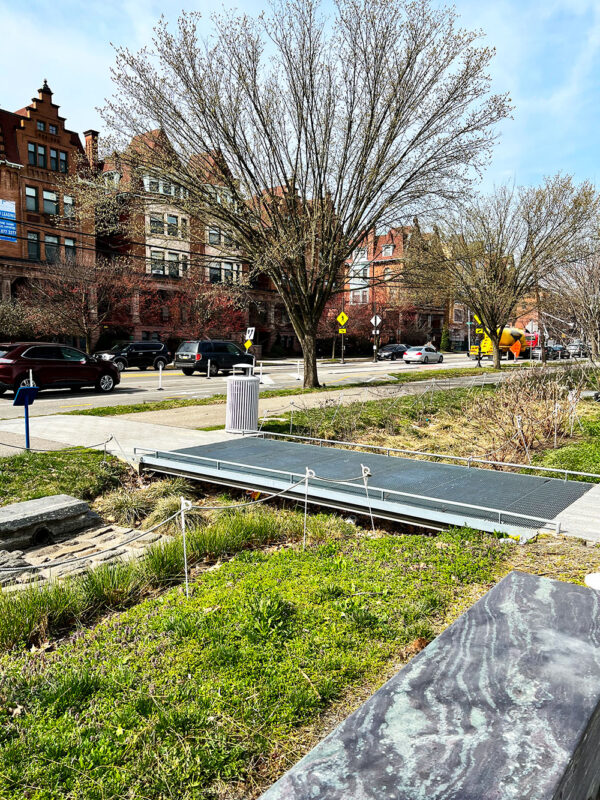 Rainwater garden, bench, and walkway at Centennial Commons