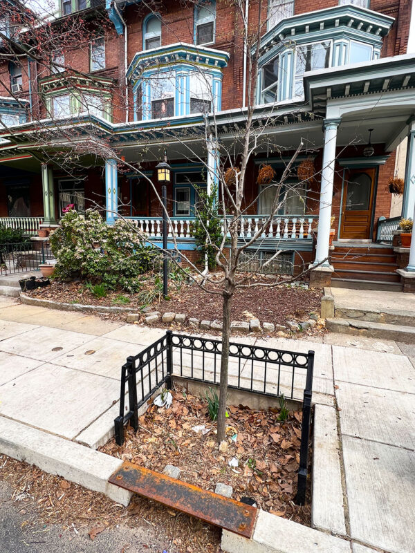 Osage Avenue rain garden