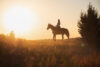 Silhouette of young woman on horse