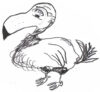 Hand-drawn bird