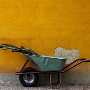 Green wheelbarrow with sticks against orange wall