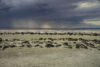 Dried spiral jetty at Great Salt Lake