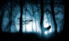 Moonlit forest with wolf
