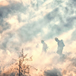 Firefighters in wildfire