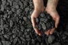 Hands holding coal