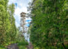 Lookout tower in forest