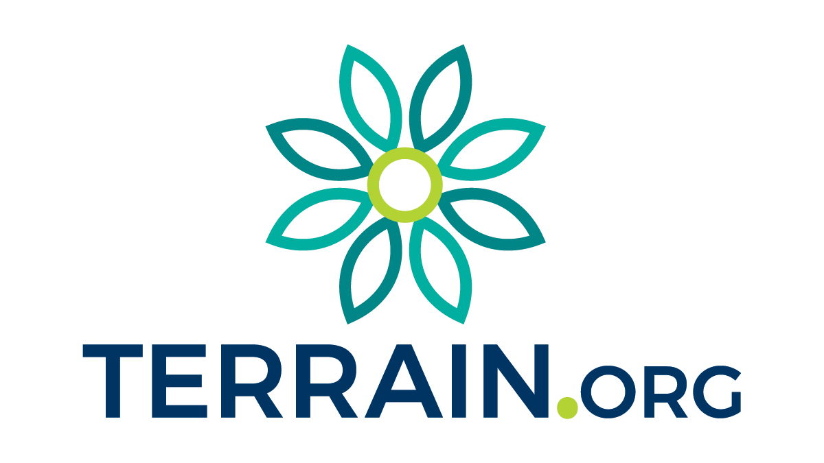 Generation Activism Archives - Terrain.org