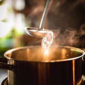 Steaming pot and ladle