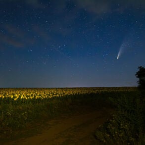 Comet over a field at night