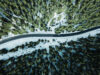 Aerial of road in winter with forest