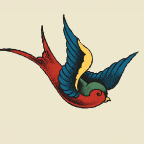 Drawing of a bird tattoo (swallow)