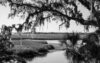 Cumberland Island marsh